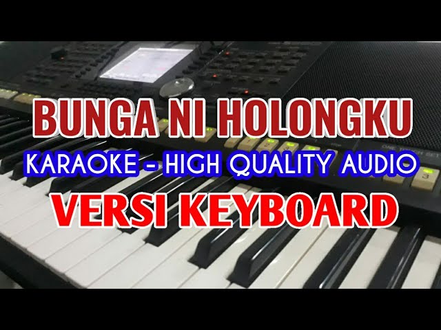 KARAOKE BUNGA NI HOLONG HU / Lirik Berjalan / High Quality Audio class=