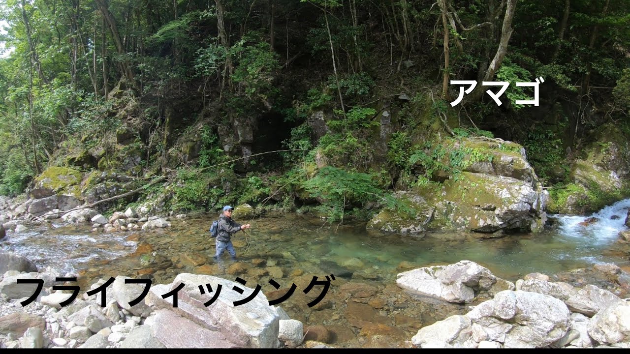 フライフィッシング アマゴ Youtube フライフィッシング アマゴ Youtube