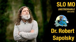 #291: Unstressable with Robert Sapolsky and Mo Gawdat - Revealing Humanity's Inner Workings