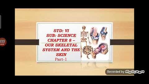 Std-6 Chapter-8 Our skeletal system and skin( part-1)