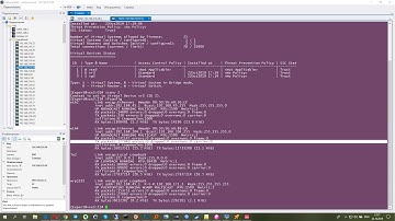 Настройка IPSec между контекстом Check Point VSX и pfSense