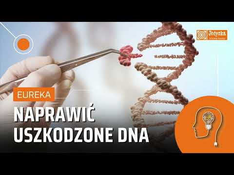 Wideo: Jaki enzym sprawdza i naprawia DNA?
