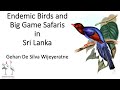 Delhibird talks endemic birds and big game safaris in sri lanka gehan de silva wijeyeratne