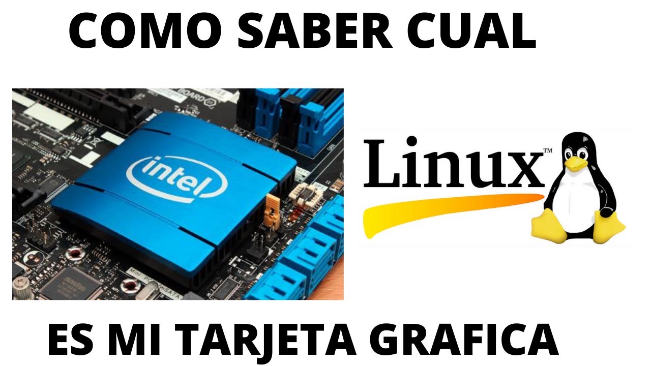 Como Saber Cual Es Mi Tarjeta Grafica