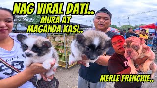 SILA MISMO ANG NAG BREED KAYA MURA.. by Daddy Denz Tv 95,151 views 1 month ago 30 minutes