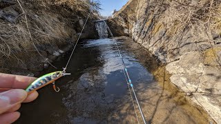 小さな水路に小さなルアーを投げてみると...