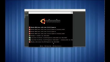 Installing BURG a GRUB based bootloader for multibooting