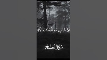 ﴿ نَبِّئْ عِبَادِىٓ أَنِّىٓ أَنَا ٱلْغَفُورُ ٱلرَّحِيمُ ﴾🥹🩶 القارئ : أحمد حمادة