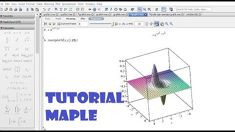 Fungsi Grafik 3D DAN 3D ANIMATION MAPLE