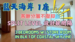 藍天海岸客廳分層不壓抑!SPLIT LEVEL 設計靚間隔 1座低層912呎 #東涌物業