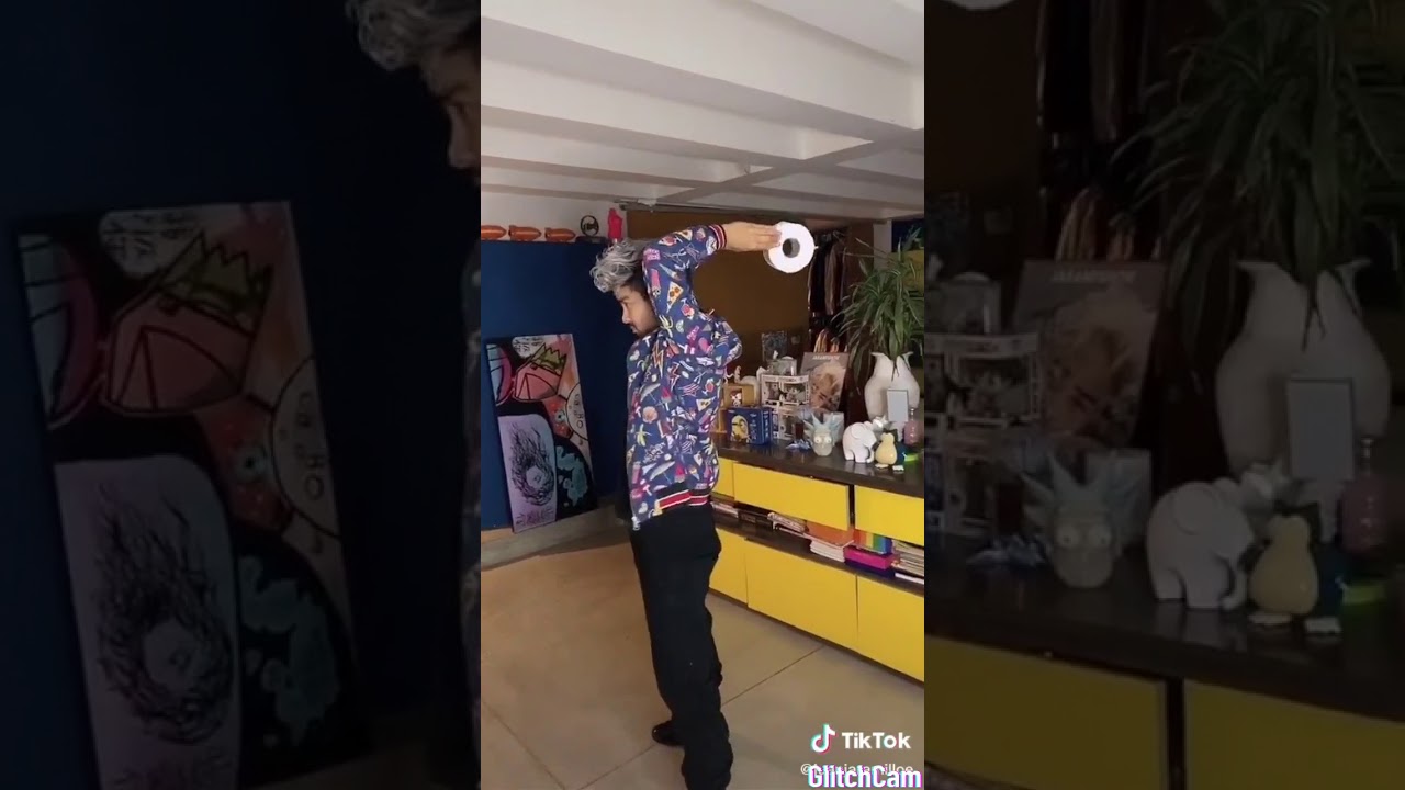 "catch the toilet paper challenge" ( Tik tok compilations). YouTube