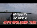 Fishing  in spi txhow to catch fish