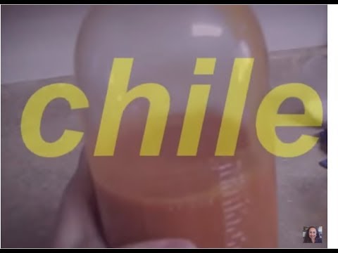 Salsa Picante Chile De Botella Mexican Hot Sauce Lorena Lara-11-08-2015