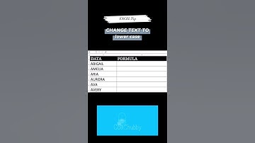 Change Text to lowercase / Small Letters dapat sa Excel?