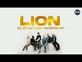LION  (feat. Chris Brown & Brandon Lake)|| Elevation worship. 1hour loop