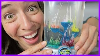 Making Magic Rocks!