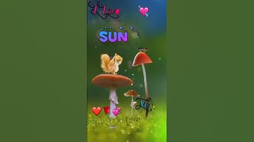 Sunny ❤️ Letter Name Status ✨💖!,New Trending name art video 💖✨!! What
