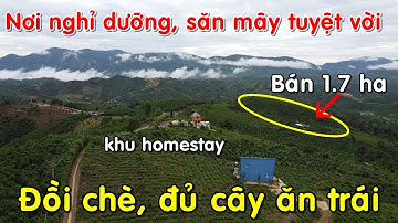 Bán đất vườn 1,7ha full cây trái, view đẹp hợp làm homestay, đồi nghỉ dưỡng tại Bảo Lâm, Lâm Đồng
