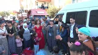 Roman Düğünleri Antalya