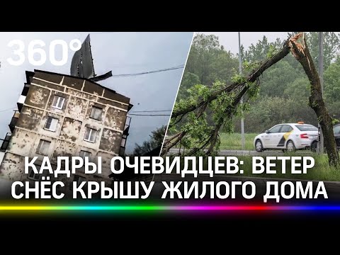 Порыв ветра снёс крышу в Щёлкове, женщину в Луховицах убило упавшее дерево, на москвичку рухнул щит