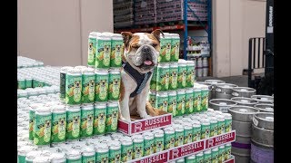 My dog has his own beer!!!