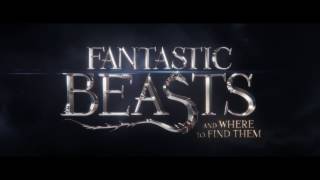 Fantastic Beasts and Where to Find Them - Watch online free!