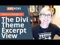 Make an Excerpt View on your Divi Theme Blog Archive