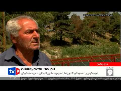 ახალი 9 | გაყიდული ტბები | 03.08.12