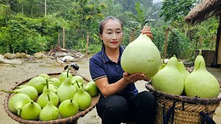 Harvesting Gourds Goes to the market sell  Cooking | Ly Thi Tam