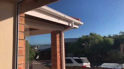 White-rumped Swift in slow motion