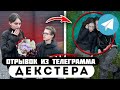 Прода из телеграмма // Декстер // Моя МЛАДШАЯ СЕСТРА ВСТРЕЧАЕТСЯ с БАТОНОМ!