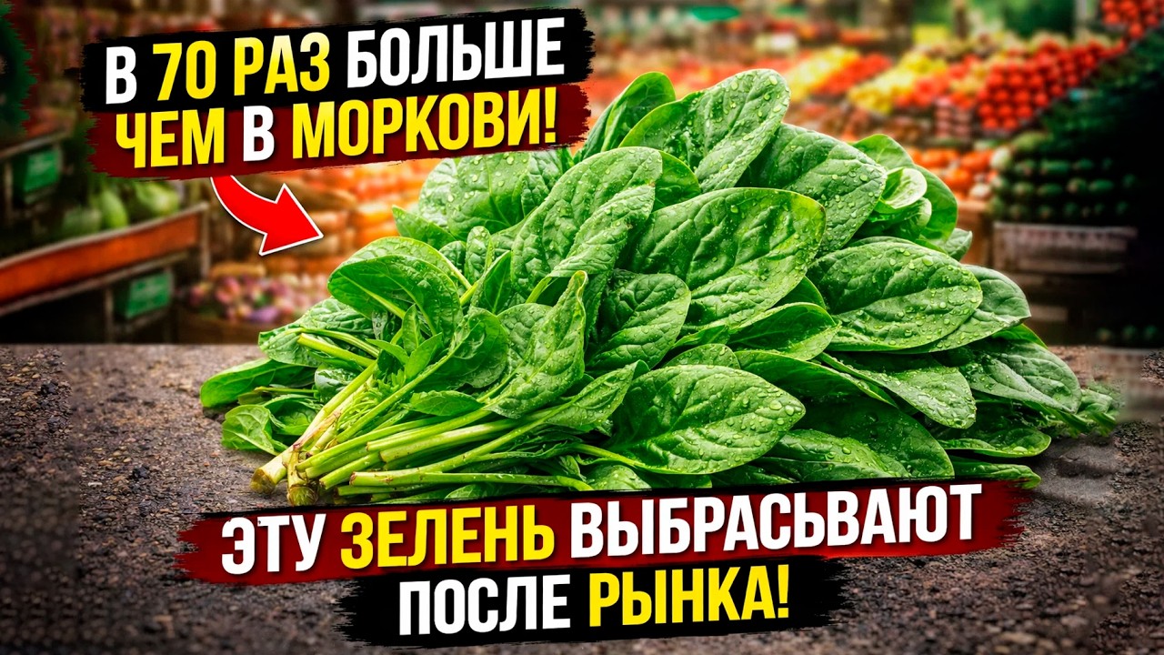 Лютеина в 70 раз больше, чем в моркови! Зелень, которую выбрасывают после рынка