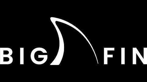 BigFin Founders: Y Combinator Application Intro Video