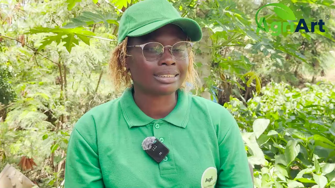 Vous voulez investir dans l'agriculture, écoutez les conseils de notre Technicienne Agronome