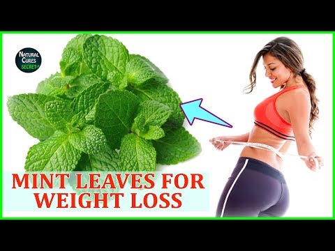 Video: Mint For Weight Loss - Useful Properties, Application, Contraindications