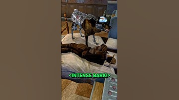 What does Rex HATE Most in Fallout: New Vegas?