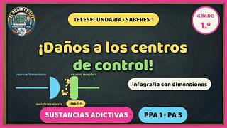 ¡Daños a los centros de control! Adicciones | Saberes 1 Telesecundaria | PPA 1 PA 3