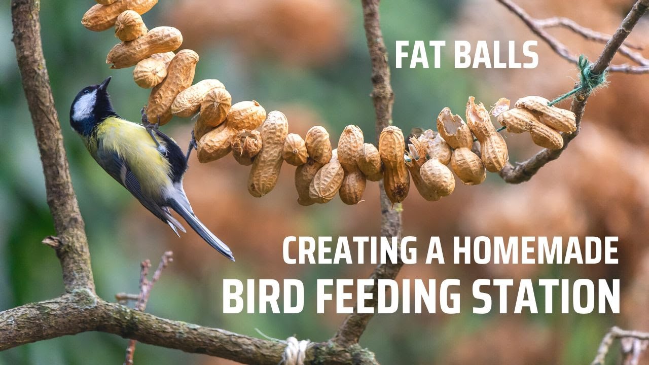Tips on creating a cheap bird feeding station. Home made fat balls ...