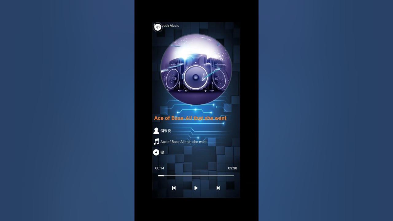 SKYLOR RS 620 DSP - YouTube