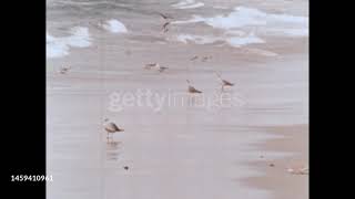 gettyimages 1459410961 640 adpp