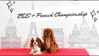 DOG SHOW : Championnat de France & Championnat d'Europe 2022 // Cavalier King Charles by AndyWho11th 59 views 1 year ago 3 minutes, 59 seconds