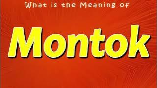 What is the Meaning of Montok | Arti Montok | Makna Montok