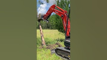 Bomen kappen met een minigraver voor ons nieuwe huis