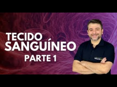 TECIDO SANGUÍNEO