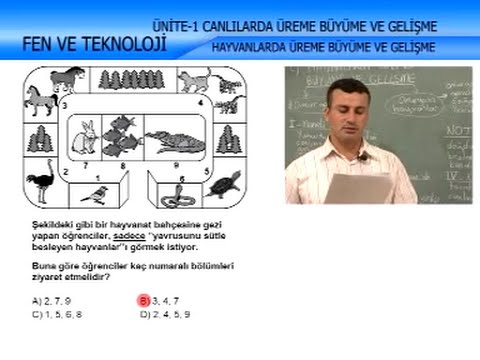 Canlılarda Üreme, Büyüme ve Gelişme 2 - İlköğretim 6. Sınıf Fen ve Teknoloji