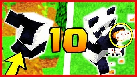 10 CHOSES QUE VOUS NE SAVEZ PAS SUR LES PANDAS MINECRAFT 1.14 !