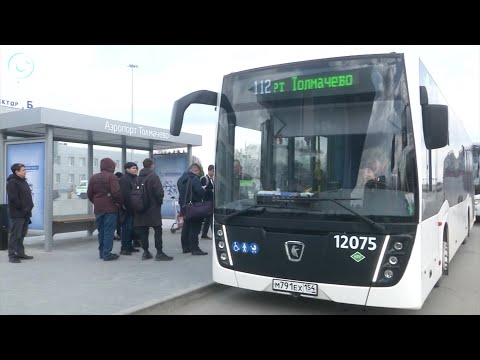 Новый автобусный маршрут в аэропорт Толмачёво запустили в Новосибирске