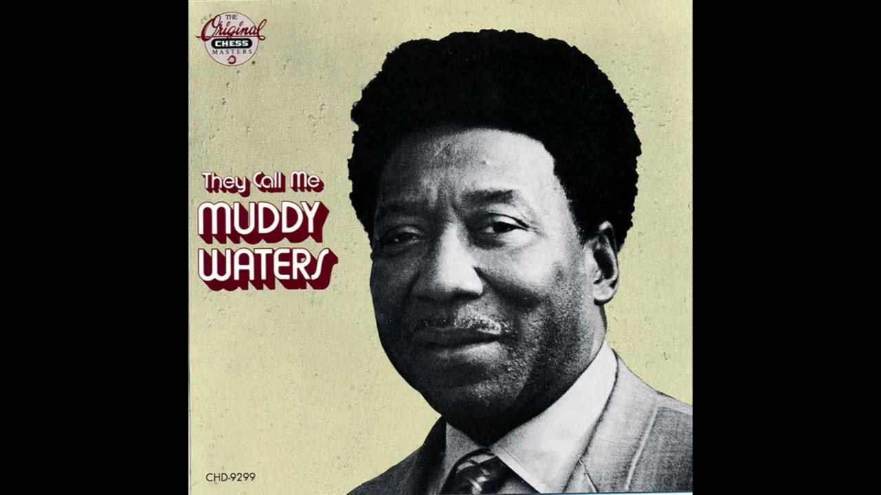 Muddy Waters – County Jail