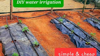 How to install water irrigation simple and cheap|DIY IRRIGATION|#gardening #farming #youtuber