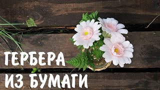 Гербера из бумаги I Мастер-класс I Gerbera DIY